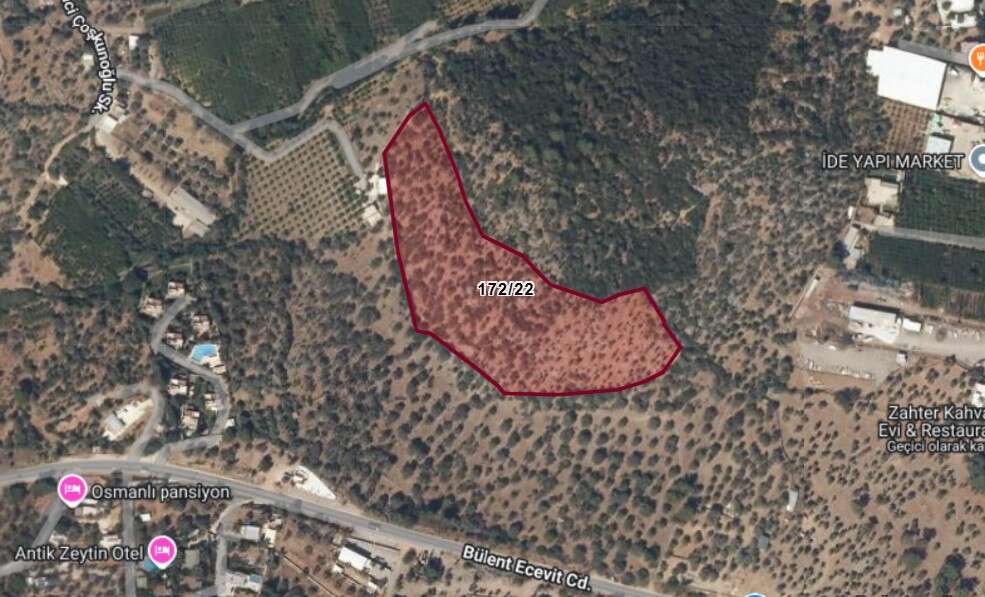 Kültür ve Turizm Bakanlığı’ndan Dev Turizm Hamlesi: Bodrum ve Antalya'daki Denize Sıfır Araziler Yatırımcıların Gözdesi Olacak 5